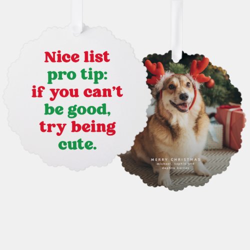 Nice list cute funny red green pet photo Christmas Ornament Card
