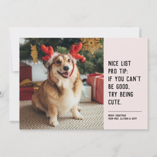 Nice list funny pet black pink Christmas photo Holiday Card