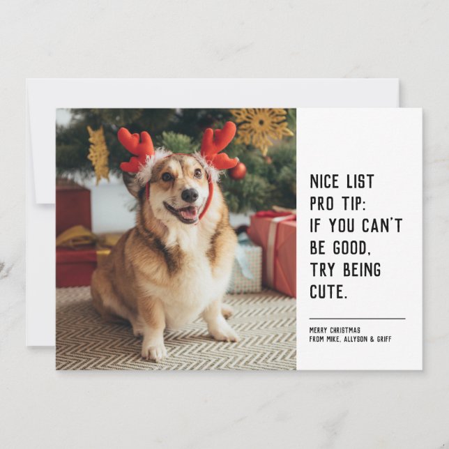 Nice list funny pet black white Christmas photo Holiday Card (Front)