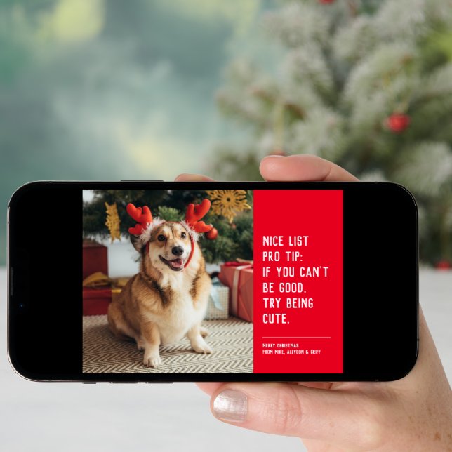 Nice list funny pet Christmas photo Holiday Card (Front Digital)