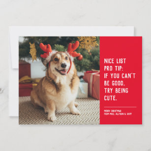 Mum Cute Studio Pets Christmas Greeting Card Xmas Cards 