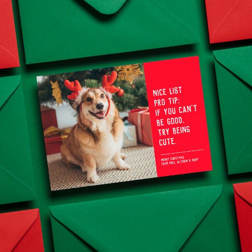 Nice list funny pet Christmas photo Holiday Card