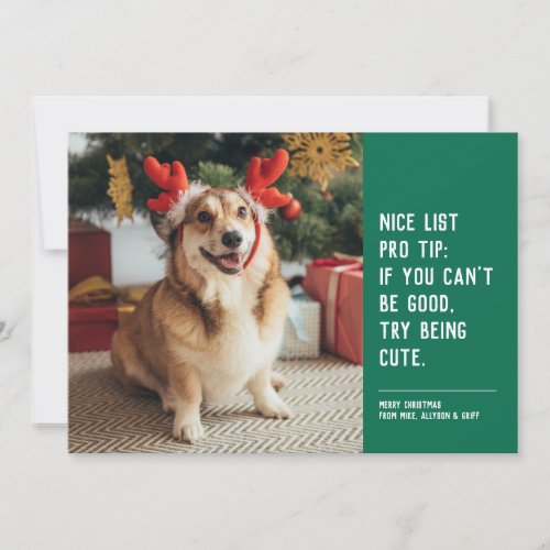 Nice list funny pet green Christmas photo Holiday Card