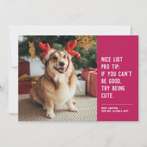 Nice list funny pet pink Christmas photo Holiday Card