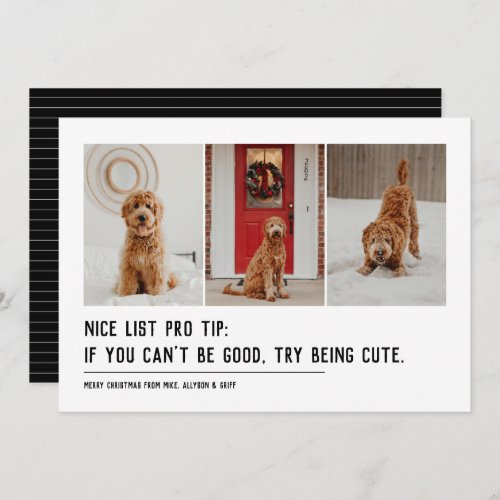 Nice list funny pet three photo black Christmas Holiday Card