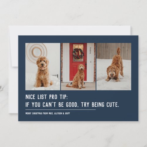 Nice list funny pet three photo navy Christmas Holiday Card