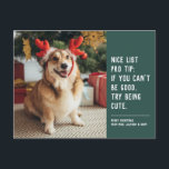 Nice list green funny cute pet Christmas photo Holiday Postcard<br><div class="desc">A cute and clever holiday card design to send Christmas cheer. This one-photo Christmas card design with white text on a stylish green is perfect for dogs, cats or anyone else trying to get on the nice list. The wording reads "Nice list pro tip: if you can't be good, try...</div>