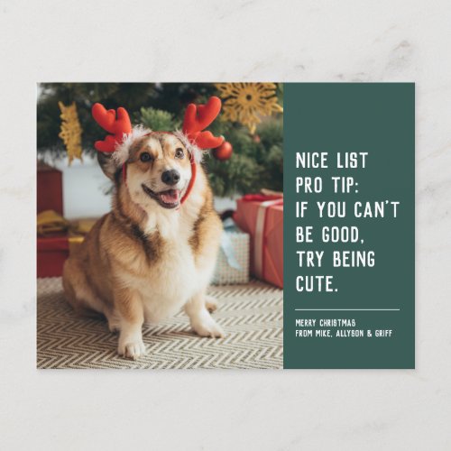 Nice list green funny cute pet Christmas photo Holiday Postcard