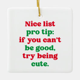 Nice list pro tip cute funny pet photo Christmas Ceramic Ornament