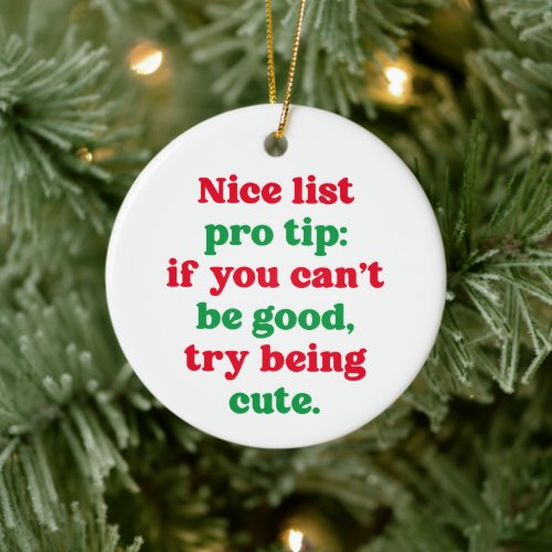 Nice list pro tip cute funny pet photo Christmas Ceramic Ornament