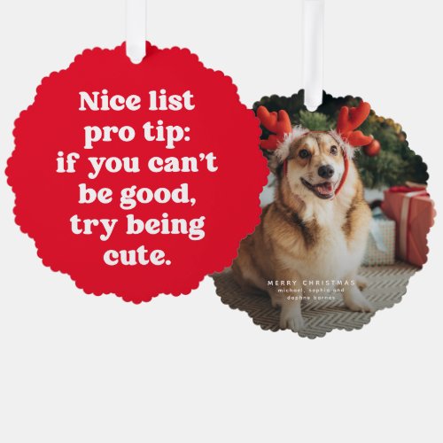 Nice list pro tip cute funny red pet holiday ornament card