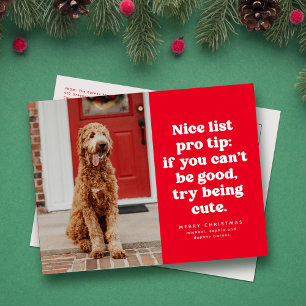 Nice list pro tip funny red Christmas pet photo Holiday Postcard