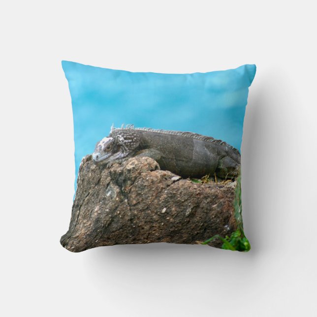Nice Looking Iguana of St. Thomas U.S.V.I Throw Pillow (Front)