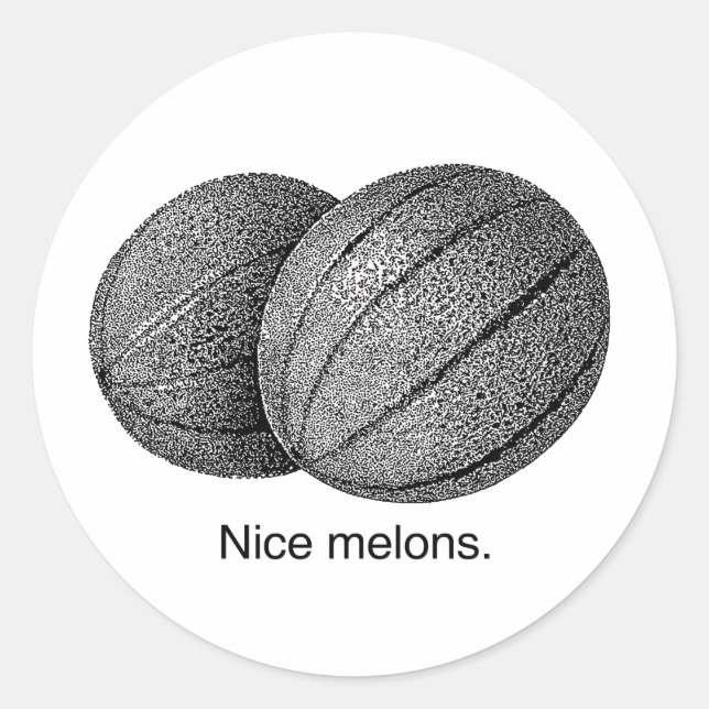 NICE MELONS -.png Classic Round Sticker (Front)