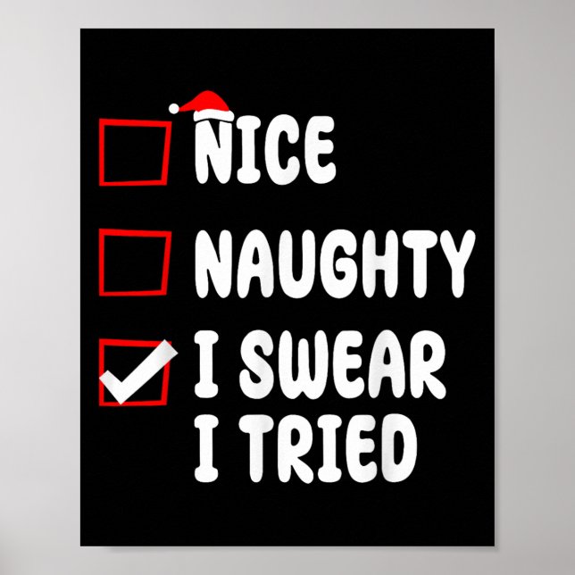 Nice Naughty I Swear I Tried  Poster (Front)