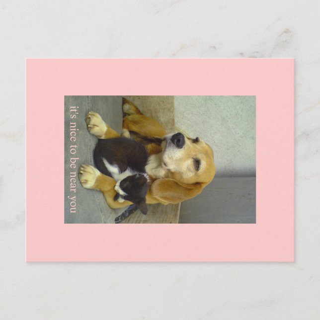 nice postcard (Front)