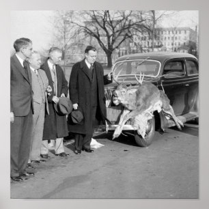 Nice Rack, 1938 Poster