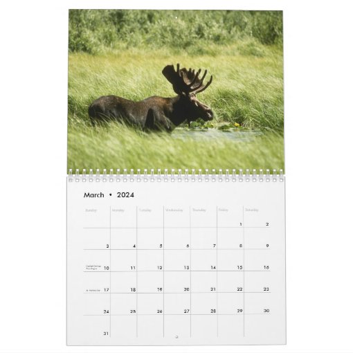 Nice Racks Wall Calendar | Zazzle