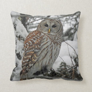 Nice striped throw pillow