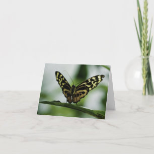 Nice to Meet You Card