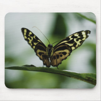 Nice to Meet You Mousepad