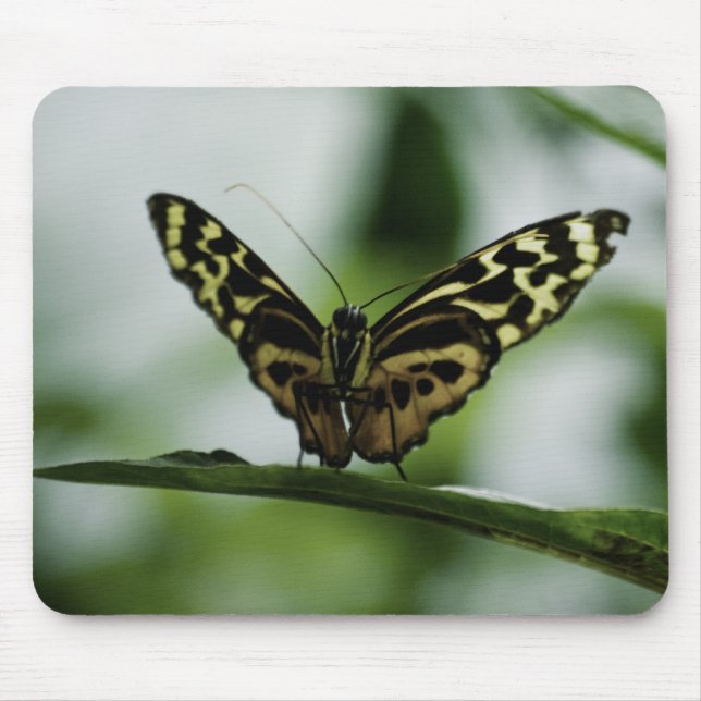 Nice to Meet You Mousepad (Front)