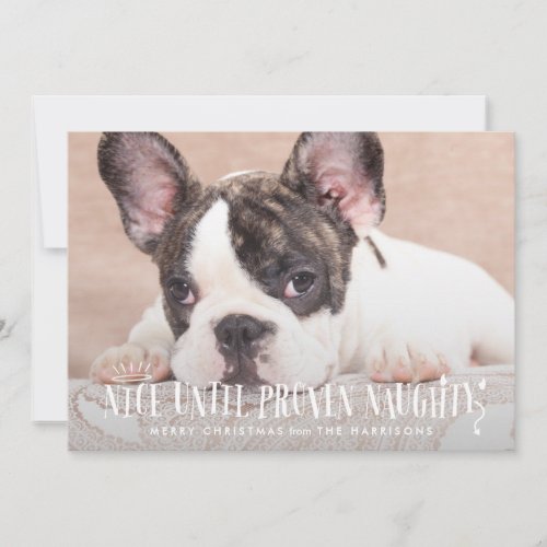 Nice Until Proven Naughty Funny Pet Holiday Card