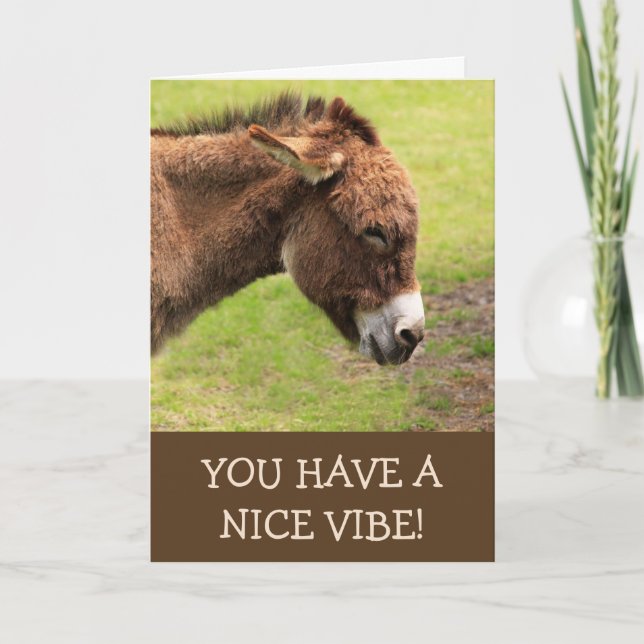 Nice Vibe Donkey Happy Birthday Card (Front)