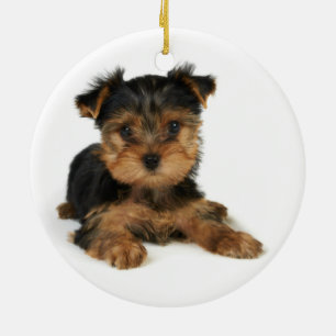 Nice yorkie ceramic ornament