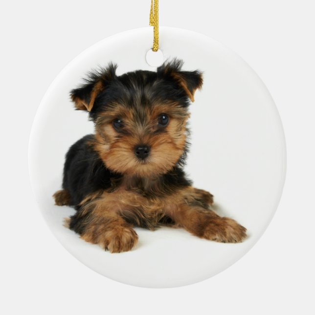 Nice yorkie ceramic ornament (Back)