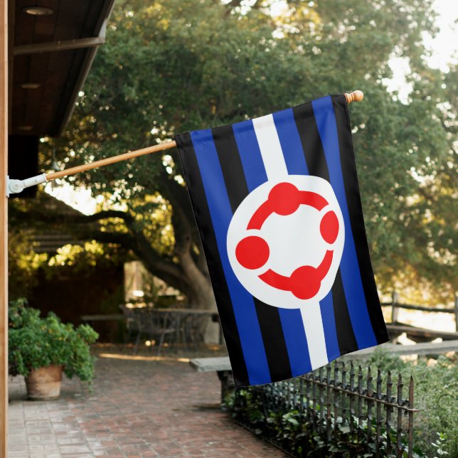 Niche Pride Flag (Original) (In SItu)