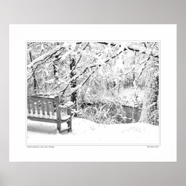 Nichols Arboretum #4 Poster (Front)