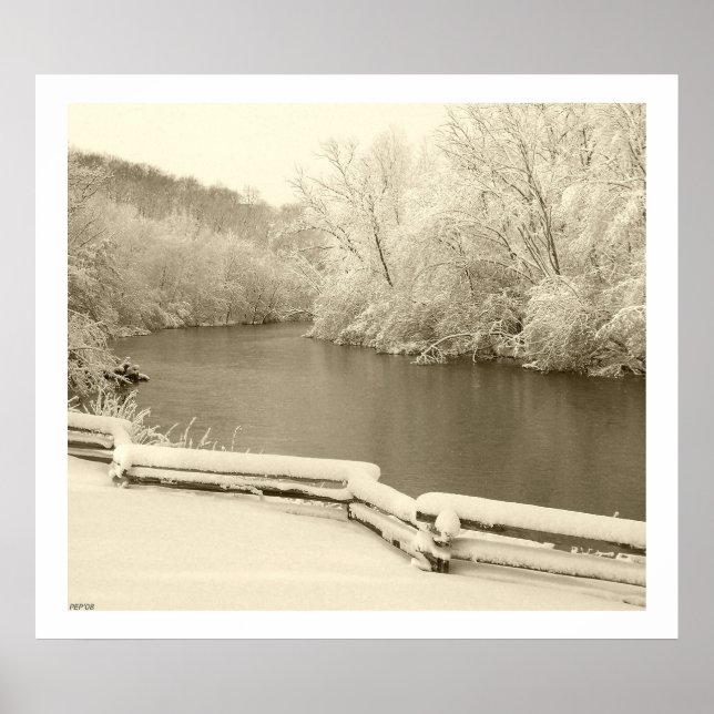 Nichols Arboretum Poster (Front)