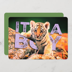 NiCK DAViD baby - Tiger Shower Invitation