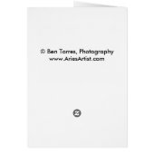 Nick's Shorts (Back)