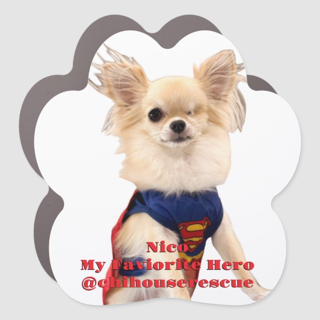 Nico my favorite hero magnet (Front)