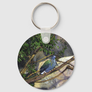 Nicobar Pigeon Keychain