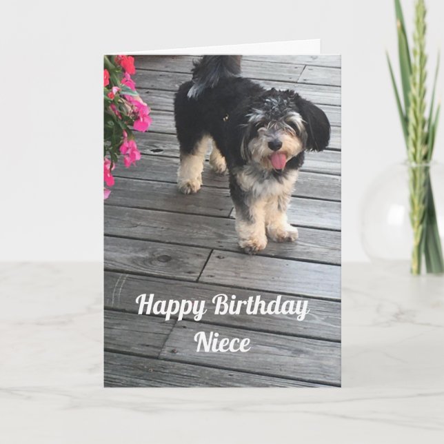 **NIECE** SPECIAL NIECE AND SPECIAL BIRTHDAY CARD (Front)