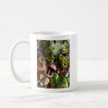 Nigella, Chrysanthemum, and Berries Floral Design