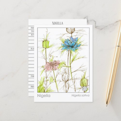 Nigella Materia Medical Herbal Study Card