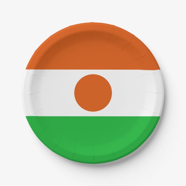 Niger Flag Paper Plates (Front)