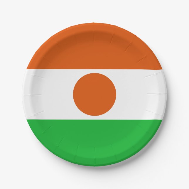 Niger Flag Paper Plates (Front)
