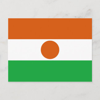 Niger Flag Postcard