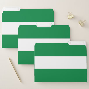 Nigeria flag file folder