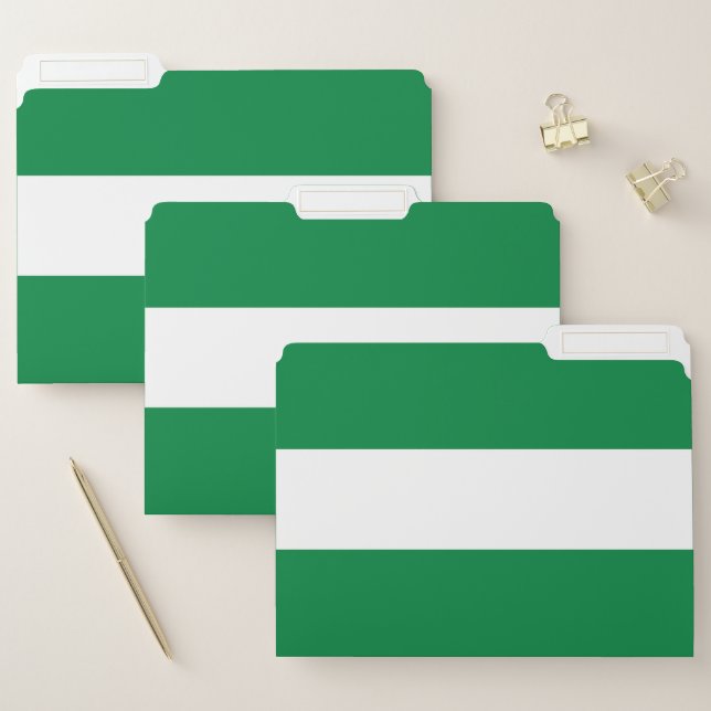 Nigeria flag file folder (Set)