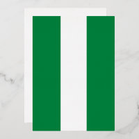 Nigeria flag