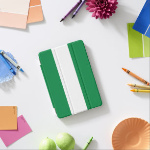Nigeria flag iPad mini cover