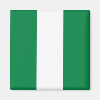 Nigeria Flag Magnet
