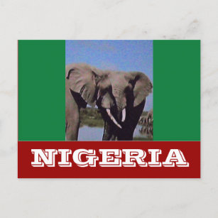 Nigeria flag postcard