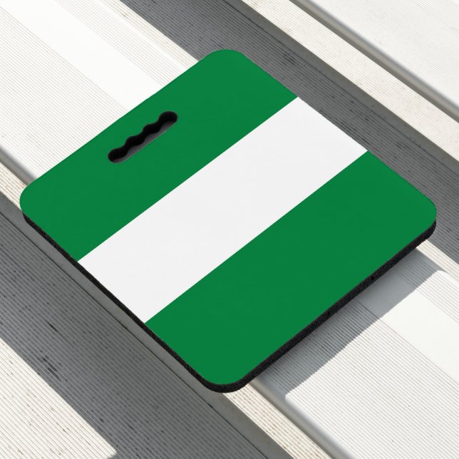 Nigeria flag seat cushion (In Situ)
